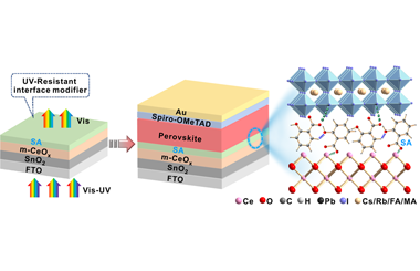 UV-resistant salicylic acid as interface modifier for efficient and stable perovskite solar cells 2023.100087
